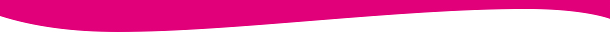PinkRoccade Samenlevingszaken